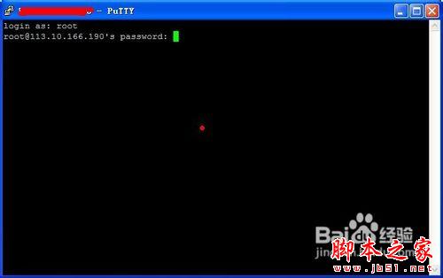 查看图片